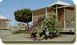 Einer von 10 Bungalows